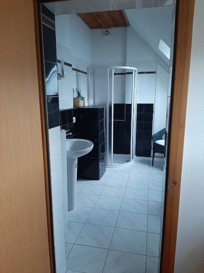 Apartmany Pod Hradem Holstejn Εξωτερικό φωτογραφία