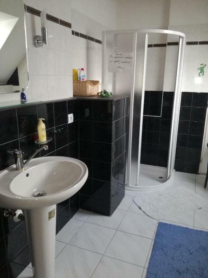 Apartmany Pod Hradem Holstejn Εξωτερικό φωτογραφία